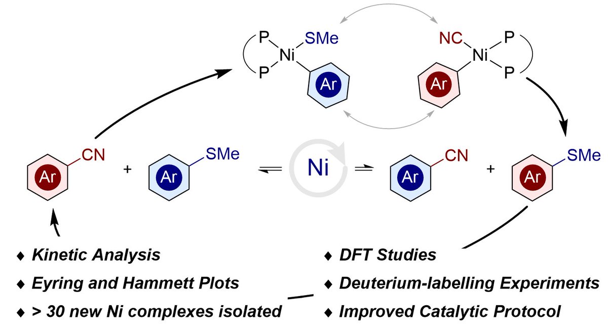 Morandi Lab (@morandilab) on Twitter photo Incredible team work by Philip, Patrick @Patrick87155410, Miguel <a href="/mriverocrespo/">Miguel Rivero-Crespo</a>, Patrick <a href="/PDFinkelstein/">Patrick Finkelstein</a>, in collaboration with Marc-Oli Ebert and Nils Trapp. Full mechanistic study giving us now a better picture of functional group metathesis pubs.acs.org/doi/10.1021/ja… Incredible team work by Philip, Patrick @Patrick87155410, Miguel <a href="/mriverocrespo/">Miguel Rivero-Crespo</a>, Patrick <a href="/PDFinkelstein/">Patrick Finkelstein</a>, in collaboration with Marc-Oli Ebert and Nils Trapp. Full mechanistic study giving us now a better picture of functional group metathesis pubs.acs.org/doi/10.1021/ja…