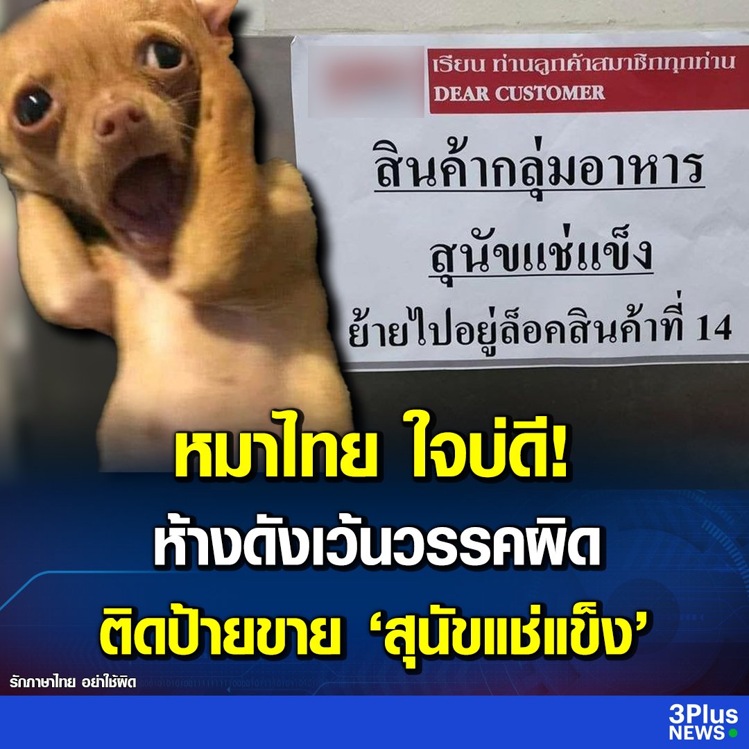 Ordinaryfern tweet media