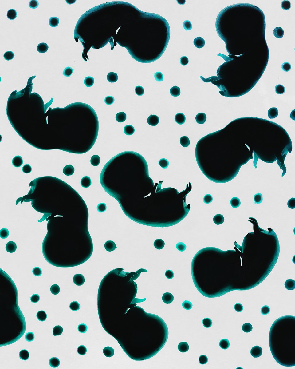 StarBabiez's tweet image. Hey you! 
Yaaaaaaa you! 

- Choose one of these #jpgs! 🖼️
- Put it as a screensaver on your phone📱
- Post the screen in the comments. ⬇️

🎁 You could win something really cool 

#StarGazers  #NFTCommunity #IBCGang #NFTs #NFTProject #nftart #NFTartists #freewallpaper