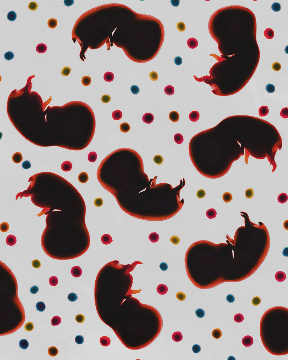 StarBabiez's tweet image. Hey you! 
Yaaaaaaa you! 

- Choose one of these #jpgs! 🖼️
- Put it as a screensaver on your phone📱
- Post the screen in the comments. ⬇️

🎁 You could win something really cool 

#StarGazers  #NFTCommunity #IBCGang #NFTs #NFTProject #nftart #NFTartists #freewallpaper