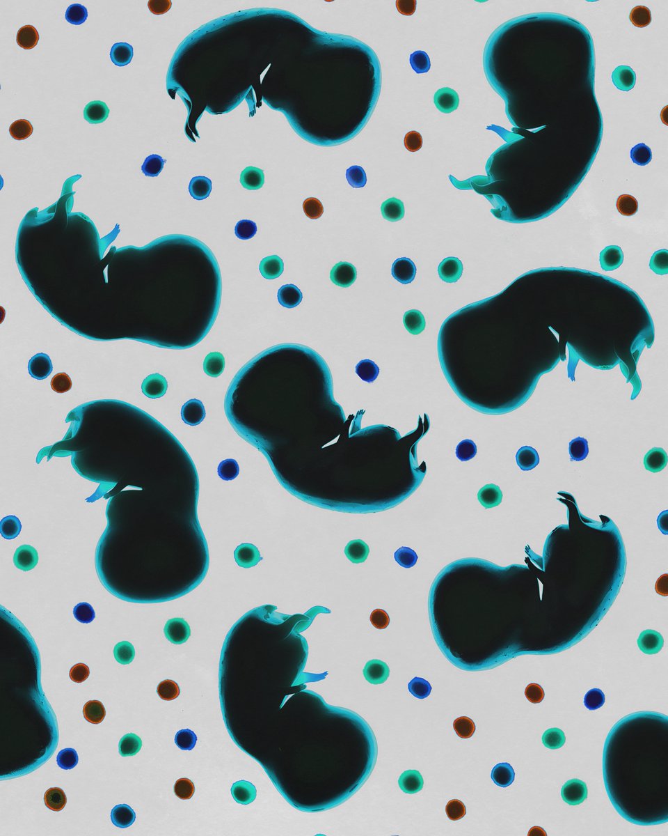 StarBabiez's tweet image. Hey you! 
Yaaaaaaa you! 

- Choose one of these #jpgs! 🖼️
- Put it as a screensaver on your phone📱
- Post the screen in the comments. ⬇️

🎁 You could win something really cool 

#StarGazers  #NFTCommunity #IBCGang #NFTs #NFTProject #nftart #NFTartists #freewallpaper