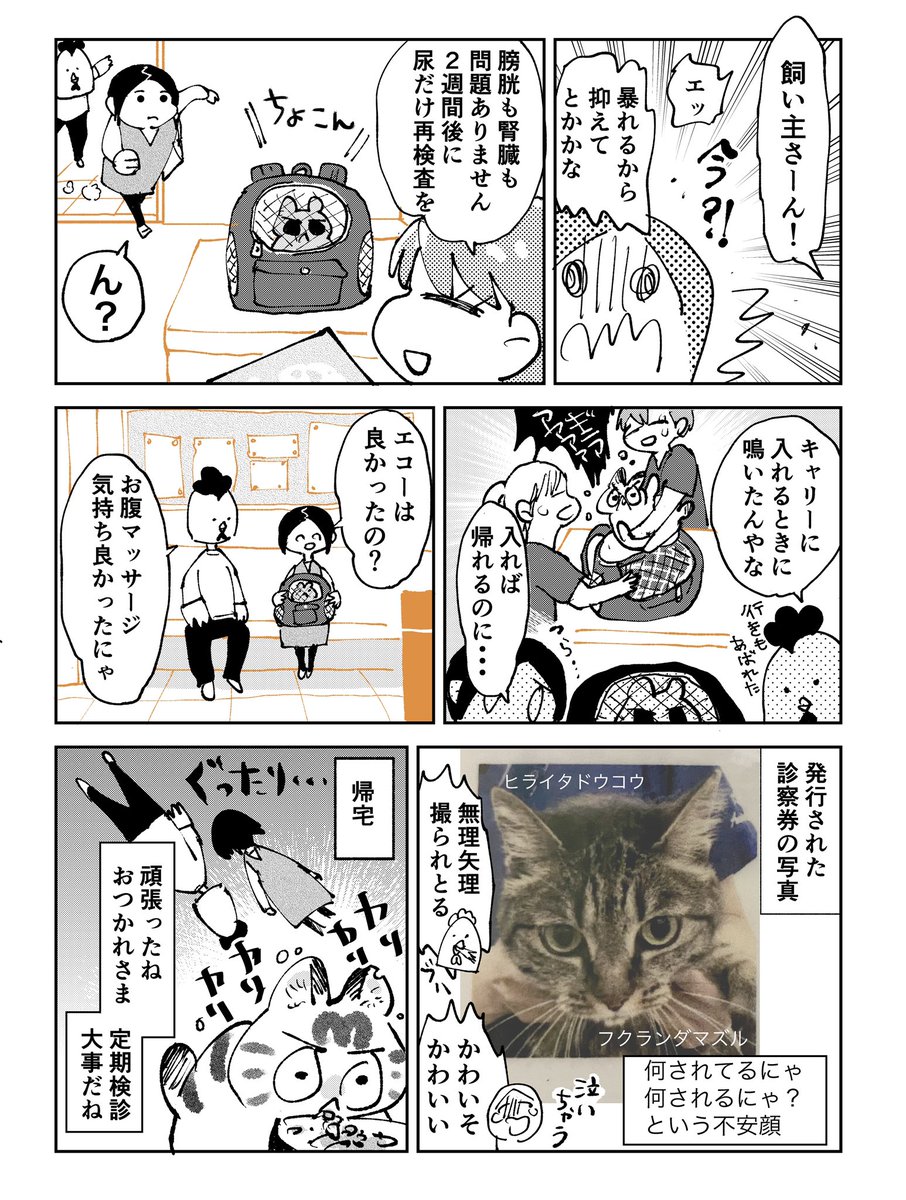 3本足のしじみちゃん178 