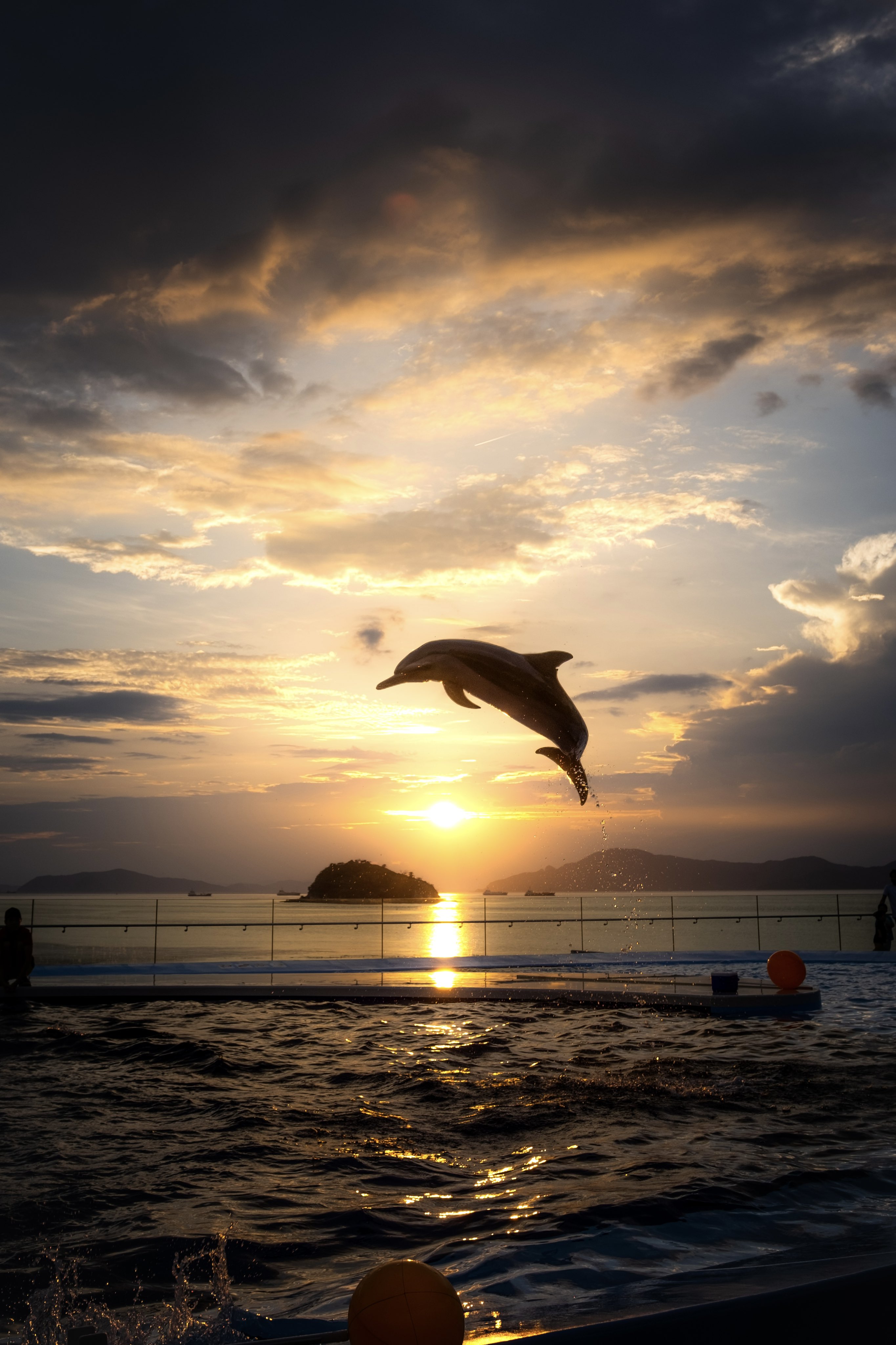 تويتر Kazu على تويتر 四国水族館恒例の夕日とイルカが撮れる夜の水族館 Night Scapeこがねいろ22 が7 23 8 28に開催されますよ 是非1度自分の目で T Co Ydvq5rmnam