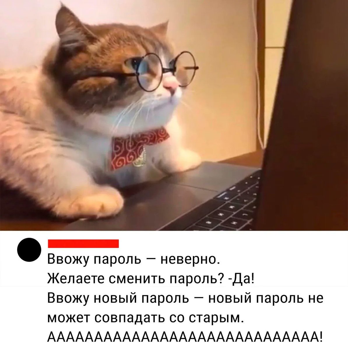 юмор каждый день