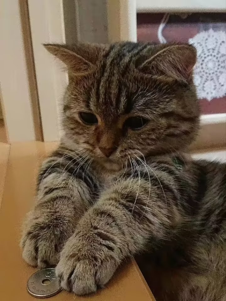 this is for you,interact with me please