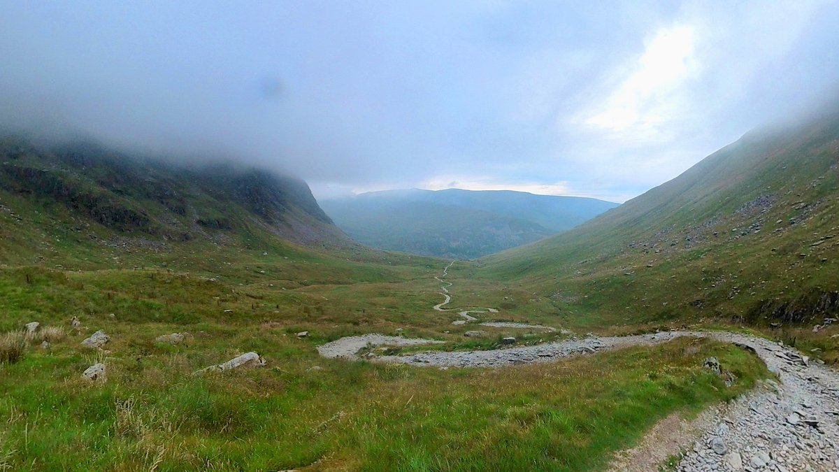 Fat Bike Farm tweet media