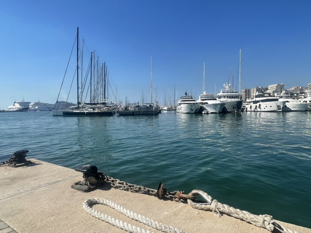 martinedelaney6's tweet photo. #palmaport #cruiseliners #stoppingby #bustlingcargoships #andbreathe https://t.co/XhmOkNNKGB