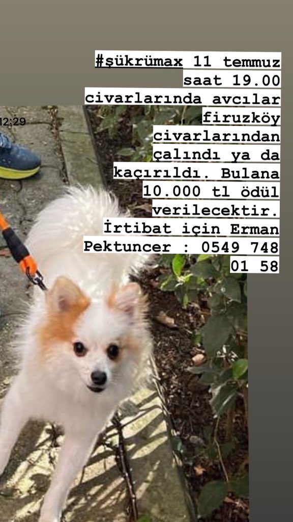 Lütfen yaymamıza yardımcı olur musunuz 🙏🏼 <a href="/cemmumcu/">Cem Mumcu</a> <a href="/SumruYavrucuk/">Sumru Yavrucuk</a> <a href="/mustaphaokan/">mustafa okan</a>