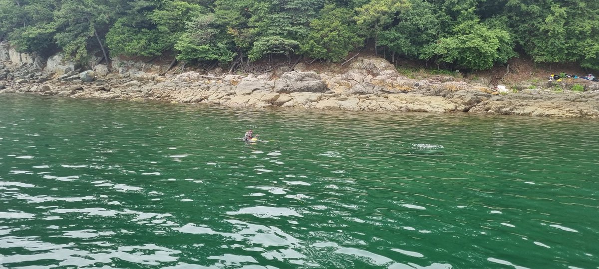 해루질..

바다사람이라 손쉽게 누릴수있는..

가리비 해삼 성게등등

소주안주 확보♡