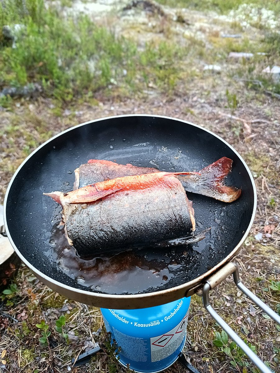 PaaTur's tweet image. @PaaTur Røye fra #Rogen