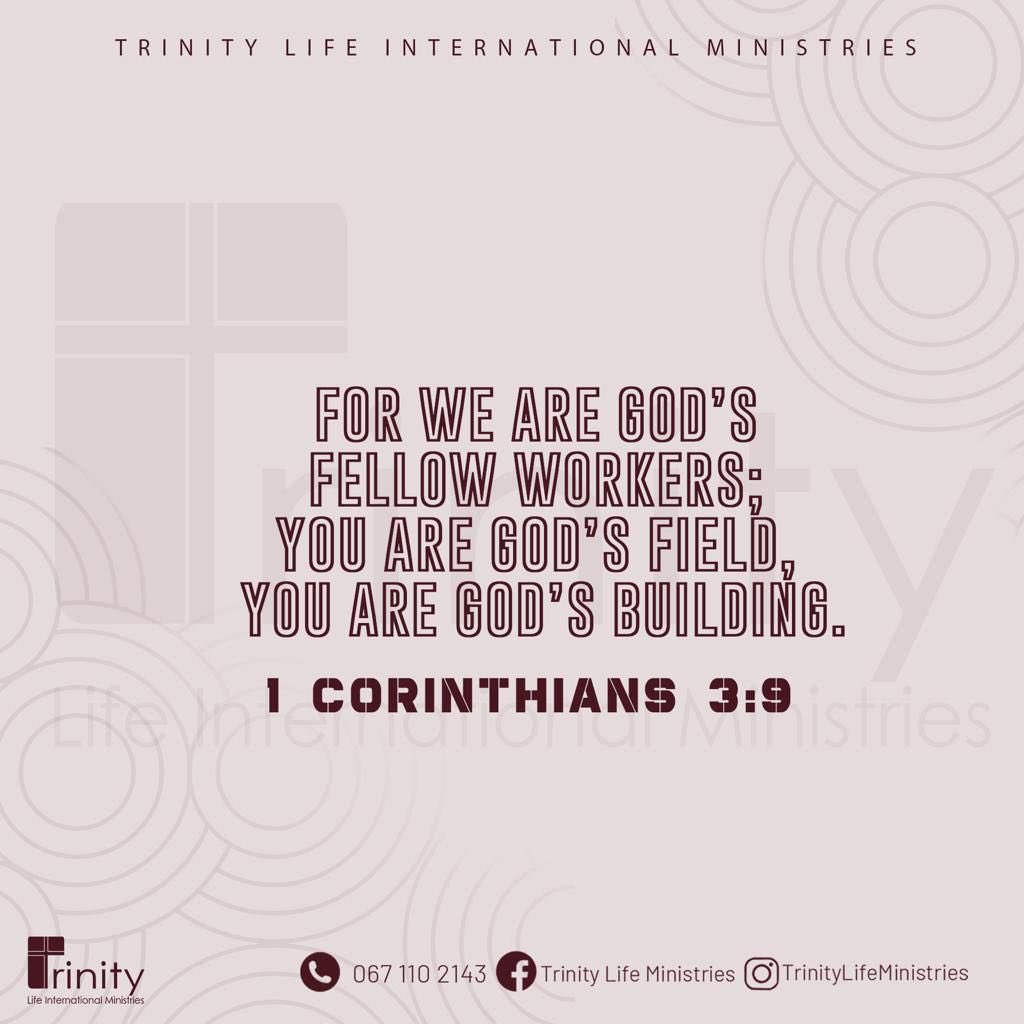 TrinityLifeInt's tweet photo. Amen 🙏🏽 😇❤️
:
:
:
#godisgood #jesus #bibleverse #trinitylifeministries #blessed #fridaymorning https://t.co/J9vxwSdTLA
