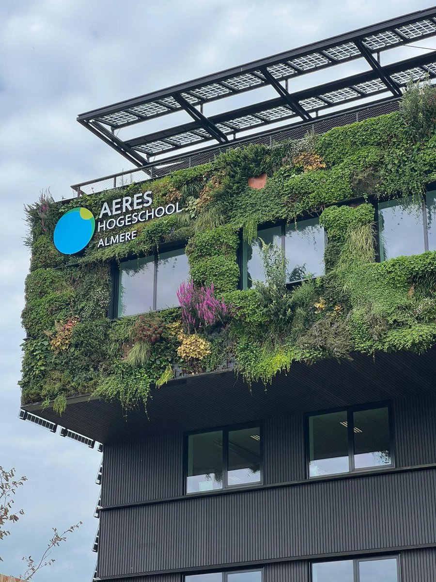 Aeres hbo Almere tweet media