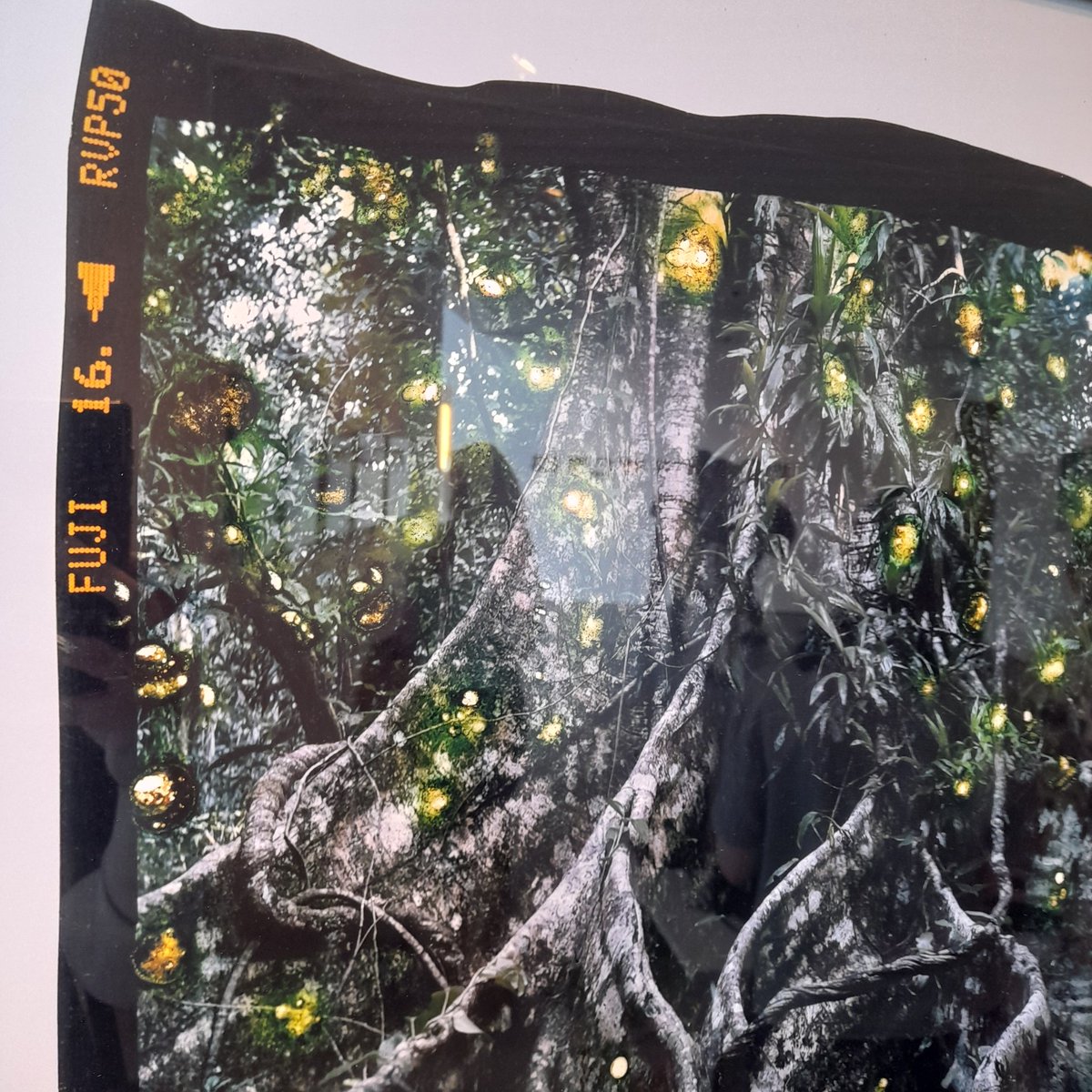 photoboltonuni's tweet photo. What we do when we're not teaching...
Support @OpenEyeGallery, attend a round table discussion, and have lovely time at @LookPhotoFest #lookphotofest ! ๐ท https://t.co/Wnu5Jpjt5w
