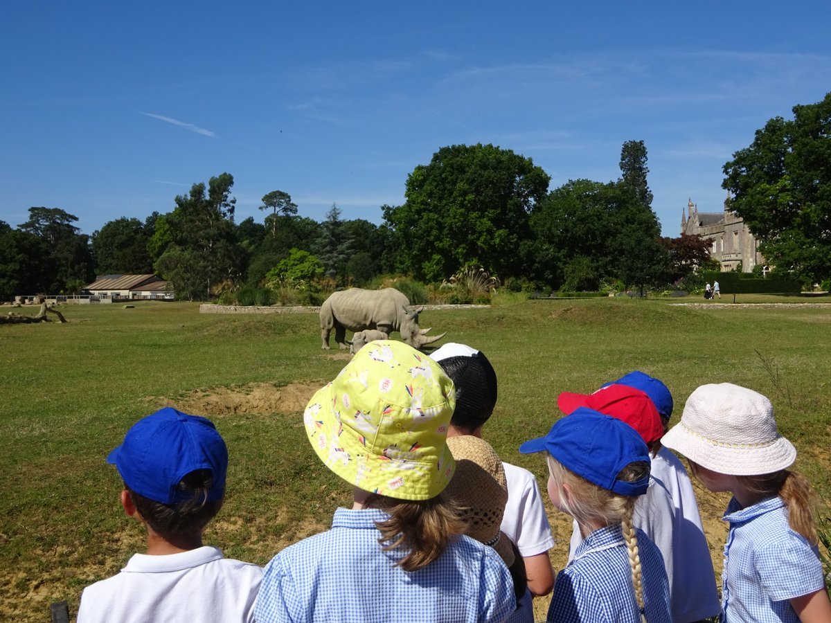 Radley CE Primary School tweet media