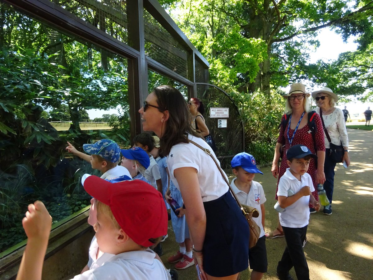 Radley CE Primary School tweet media