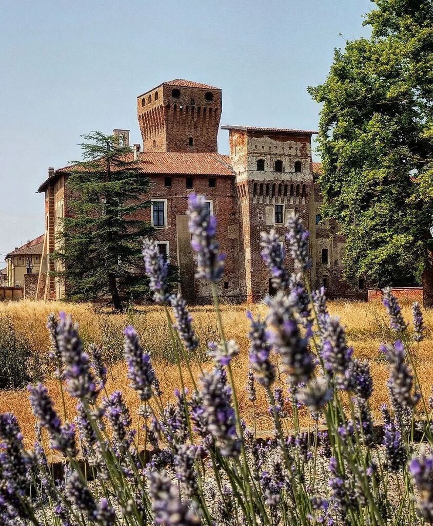 📍Balocco
📸 <a href="/saretta3/">Sara Morrison</a> 
🔍 selezionato da <a href="/blurissimo/">Roberto Maggio</a> 
#⃣ usa #igersvercelli #instagramersvercelli e tagga <a href="/igers_vercelli/">Instagramers Vercelli</a> nelle tue più belle foto piemontesi per essere repostato👍🏼
.
.
.
.
#whatitalyis #browsingitaly #igersvercelli #igerspiemonte #liveauthentic #rsa_vsco #inst…