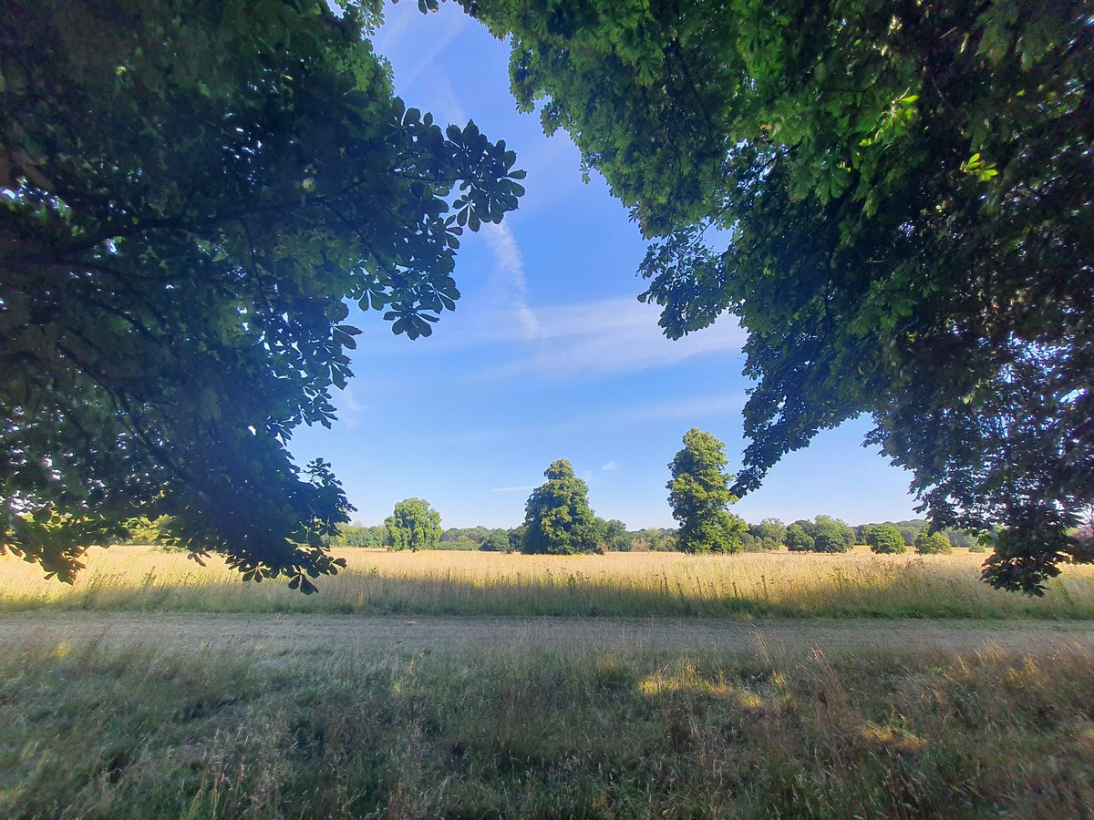 MyMKaiser's tweet photo. Had the pleasure this morning to #ecommute #ecycle to @ICR_London through the #heatwave #oasis that is Nonsuchpark. How was your commute? https://t.co/lqVzWcvp34