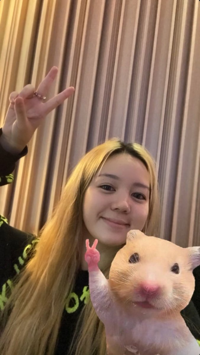thenerdrifpuff's tweet photo. Tabby and her cute hamsters 🐹 - a thread https://t.co/FRrlvd8kG8
