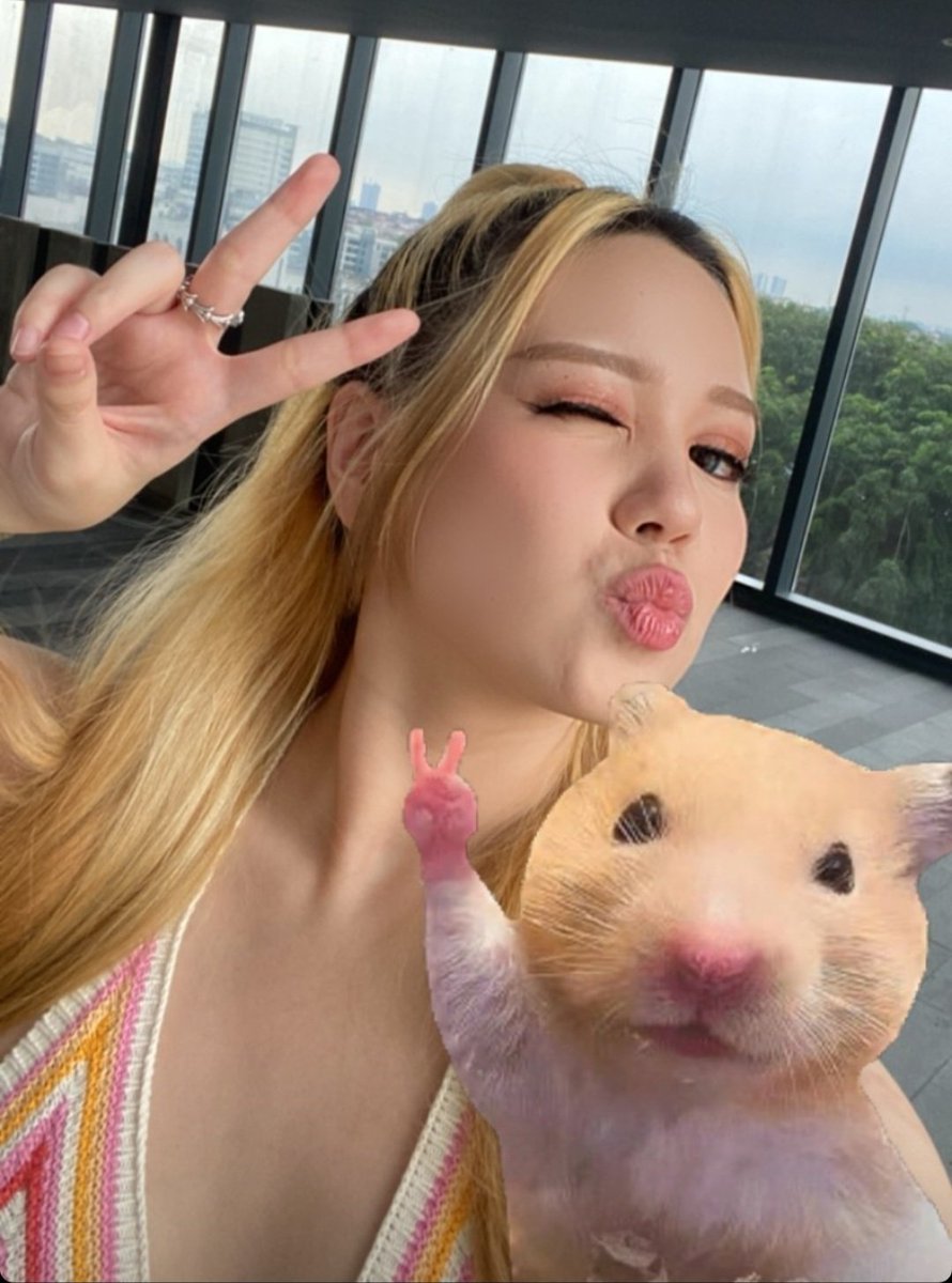 thenerdrifpuff's tweet photo. Tabby and her cute hamsters 🐹 - a thread https://t.co/FRrlvd8kG8