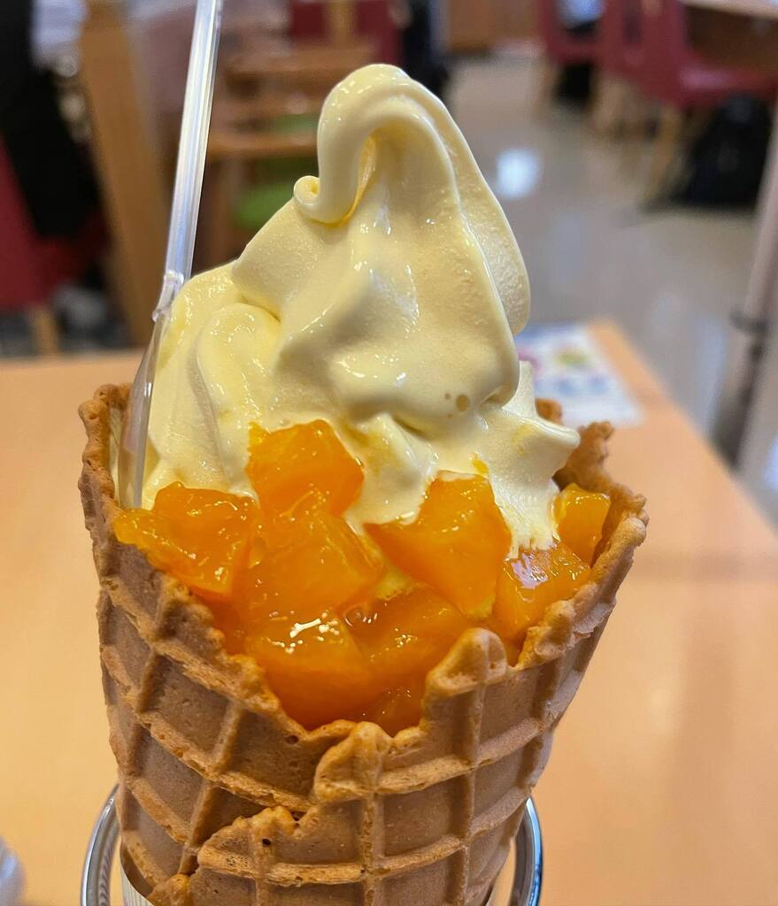 たまには良いよね😁
マンゴーソフトクリーム🥭
#疲れた時には
#糖質 instagr.am/p/CgBw-CqvMjE/