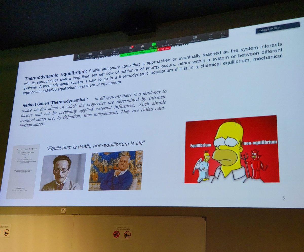 felix_rico's tweet photo. Closing lecture of the #afmbiomedschool by Patricia Losada on supported lipid bilayers as a model system to understand equilibrium and non equilibrium processes, phase separation and even  cicadas sweating @FM4B_Lab https://t.co/6WQUTUzyBO