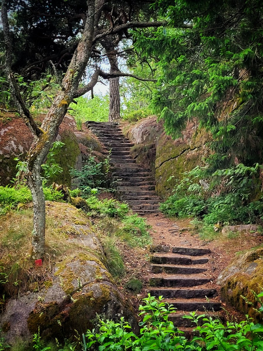 TimoMaatta's tweet photo. Rakkaudenpolun portaat. Polku rakennettiin 1800-luvun lopulla kylpylävieraille.
#rakkaudenpolku #hanko #finland #visithanko #outdoors
#the #path #of #love https://t.co/n3g91zAAMq