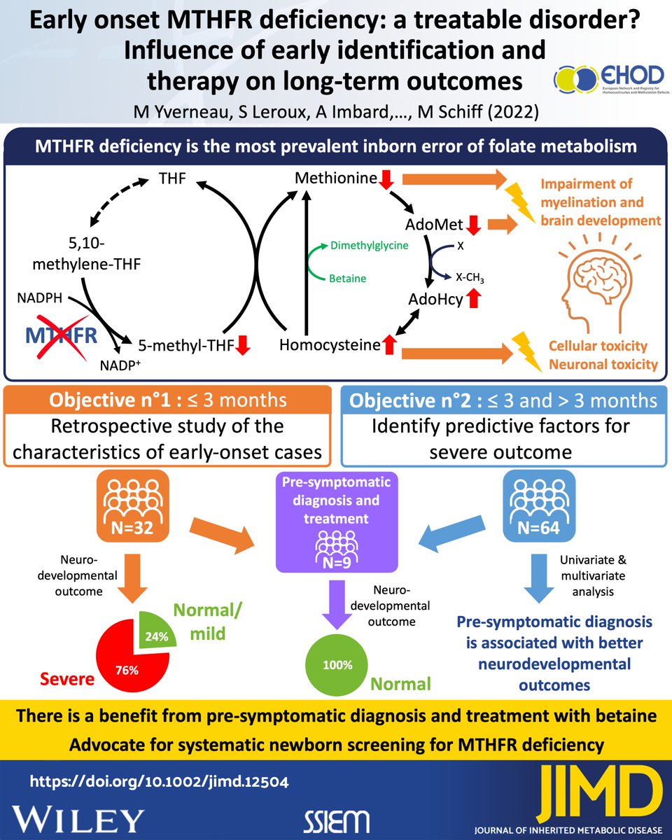 JIMD_Editors's tweet image. It's #poddrop Friday, our latest episode is:
Betaine in early onset #MTHFR Deficiency

Soundcloud: soundcloud.com/user-109006120…

Apple: podcasts.apple.com/sa/podcast/bet…

Spotify: open.spotify.com/episode/1APVrO…

@HCUAmerica @HCUPodcast @MTHFRSupport 
#homocysteine #scicomm