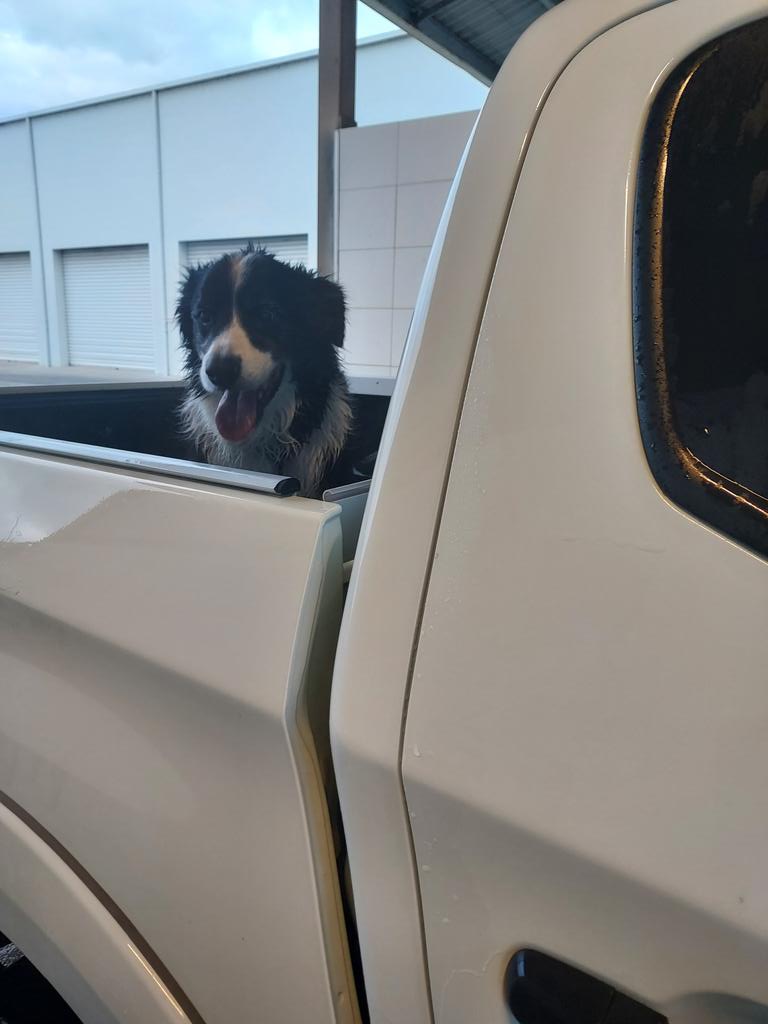 KerryAnderson tweet media