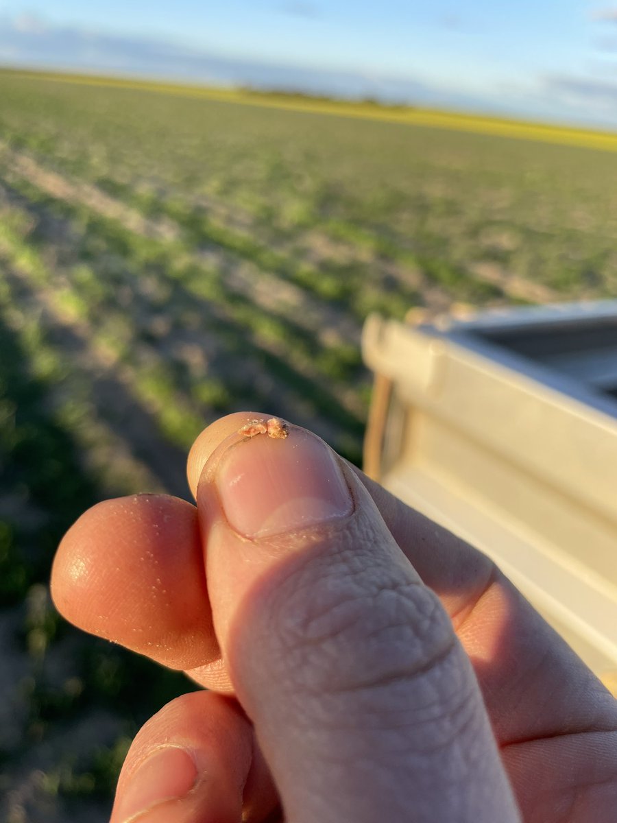 Bradley Egan tweet media