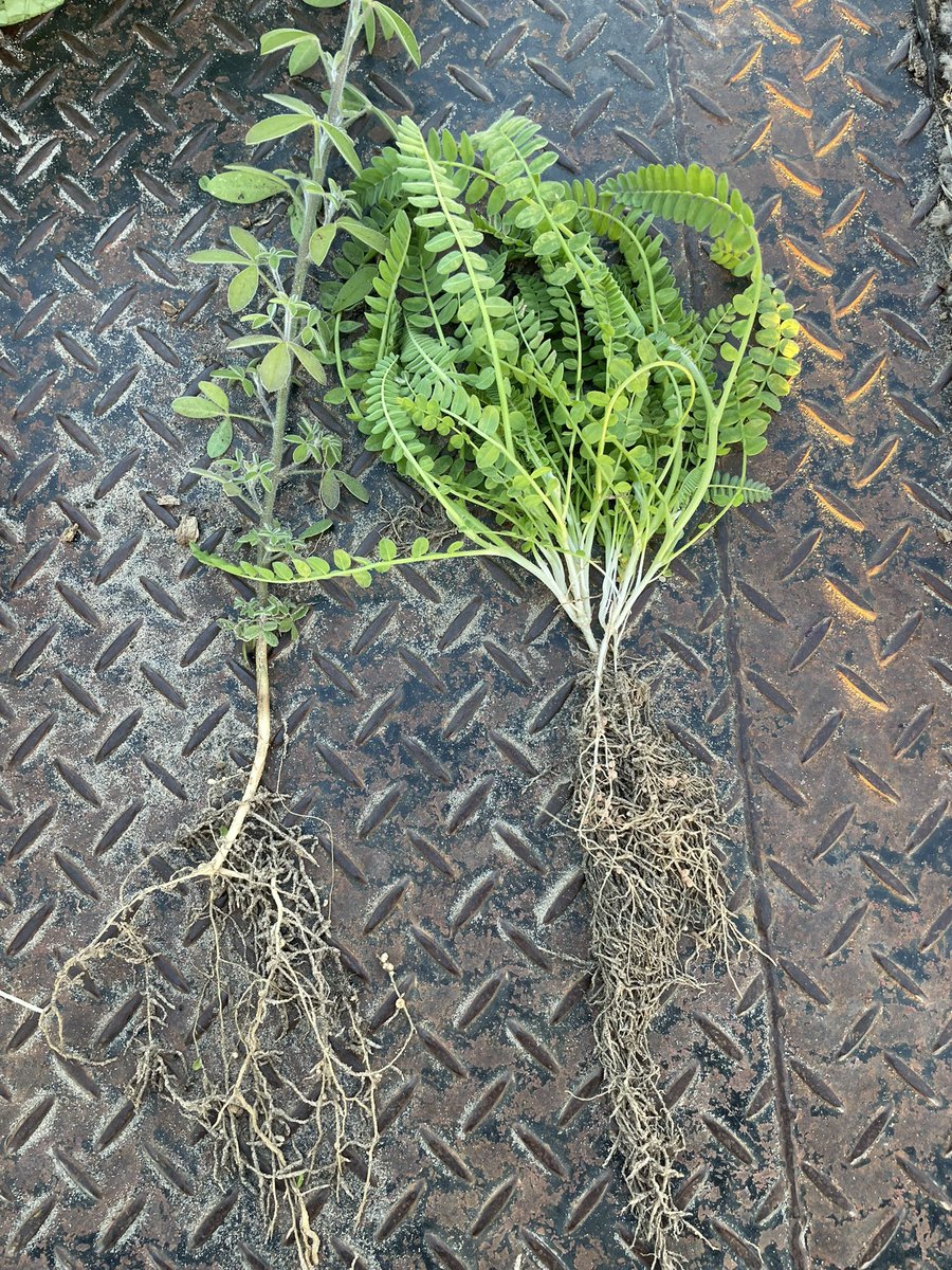 Bradley Egan tweet media