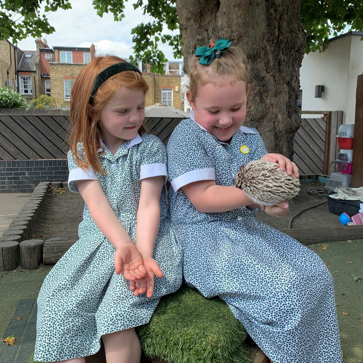 We had some very special visitors at Eaton House The Manor this week! A big thank you to <a href="/DukesEducation/">Dukes Education</a> for arranging for our Nursery and KG pupils to meet a whole host of exciting animals🐰🐍🦔 Visit bit.ly/3aFQiBf to sign up for Dukes Club and explore their resources!