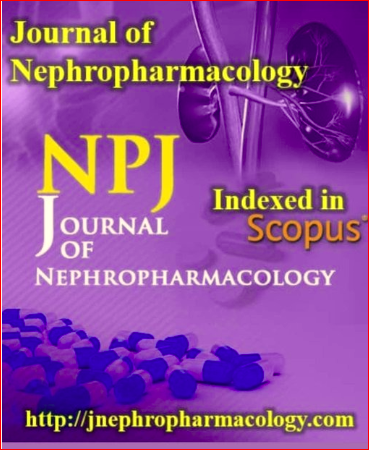 HamidNasri15's tweet photo. Dear colleagues, 
We are going to publish a special issue on onconephrology in the Journal of Nephropharmacology; https://t.co/tXLgQEAkFo
Coverage Scopus.  Free of charge publication in the special issue. In the cover letter of submission, please mention the special issue https://t.co/43fyQH6sci