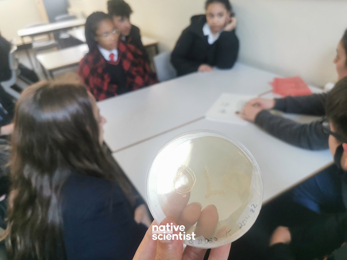 NativeScientis1's tweet photo. See what our students learned at the #Portuguese #workshop in #London this month with Gisela Henriques - https://t.co/AiePx5M2YH
Thank you to all participants and to our partners.
#DiversityInSTEM #STEM #SciComm #NativeWorkshop https://t.co/uPzBYzq30K