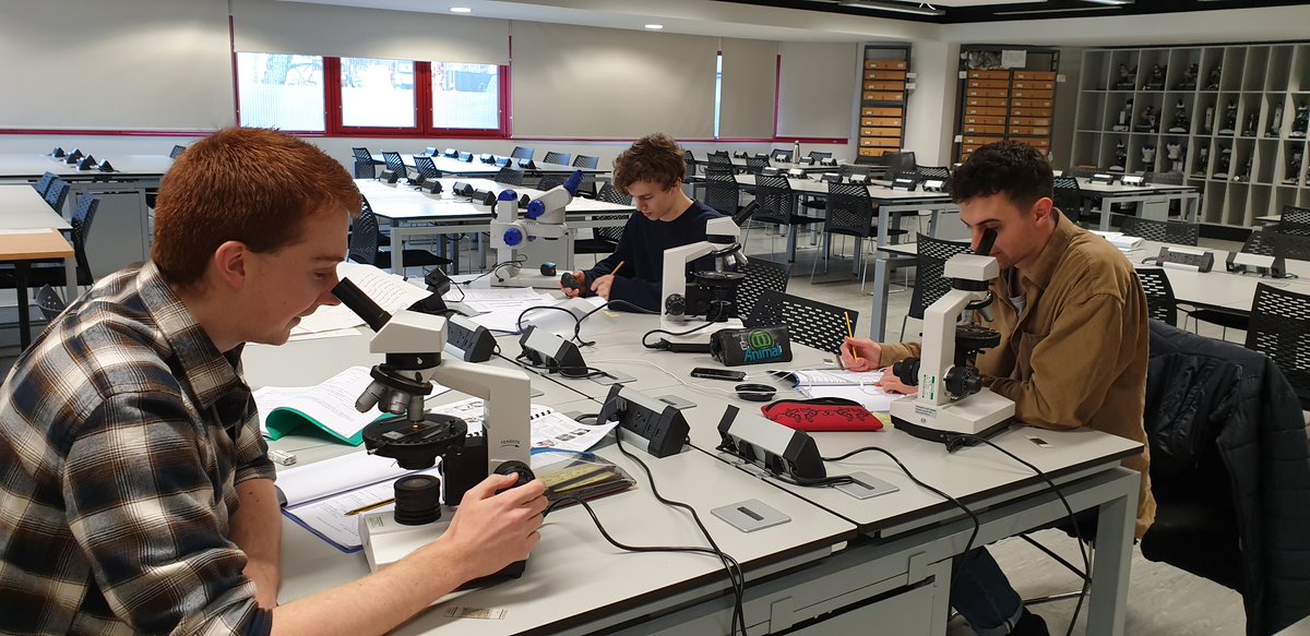 School of Geographical & Earth Sciences, UofG🌍 tweet media