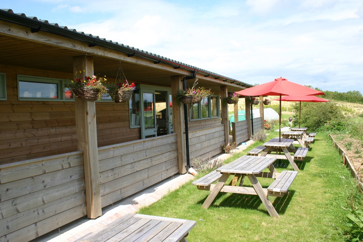 The South Devon Chilli Farm is now OPEN! Our shop, amazing chilli show tunnel and playground are open Mon-Fri 10am-4pm! Come down and say hello! #chilli #shoplocal #staycation