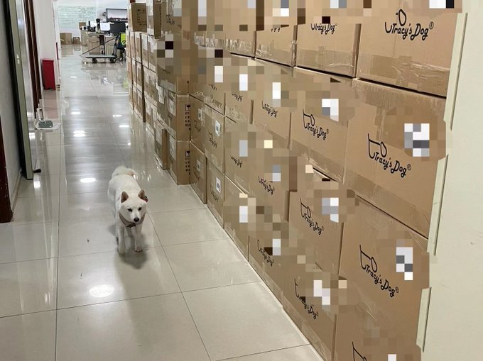 Hope you all have a happy weekend!🍑👅💦 #tracysdog #sextoy #AdultingAndStuff https://t.co/nv8SVCH8ZC<a href="/tag/tracysdog"class="tags">#tracysdog</a><a href="/tag/sextoy"class="tags"><span>#sextoy</span></a><a href="/tag/adultingandstuff"class="tags"><span>#adultingandstuff</span></a>