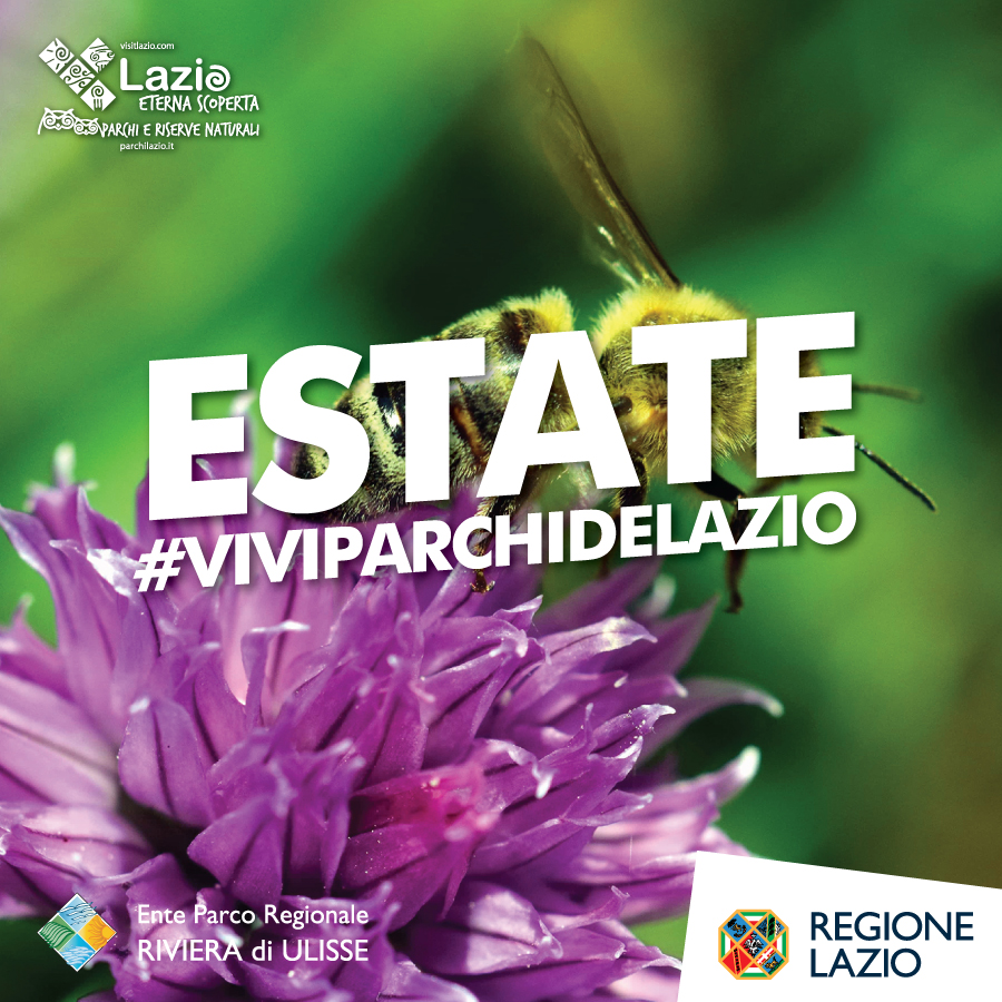 📌 #SaveTheDate

Il fine settimana dell'#estate2022 nel #ParcoRivieraDiUlisse propone sempre qualcosa... Bambin*, ragazz* e adulti. Ce n'è per tutti! Chiama ☎ i numeri riportati, per prenotare o richiedere informazioni.
Per saperne di più:
parchilazio.it/rivieradiuliss…
