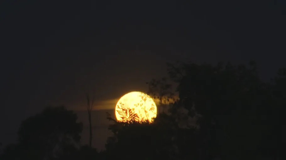 ermioni_D's tweet photo. #Superlua - o #perigeu, ponto mais próximo entre a lua e a terra, coincide na lua cheia e, por isso o seu tamanho foi 8% maior que o normal e com 2 dias consecutivos de #lua cheia no céu a 100%. #Astrofotografia
#moon #supermoon #photography #Cosmos
@StormHour @ThePhotoHour https://t.co/V6fg58t6iQ