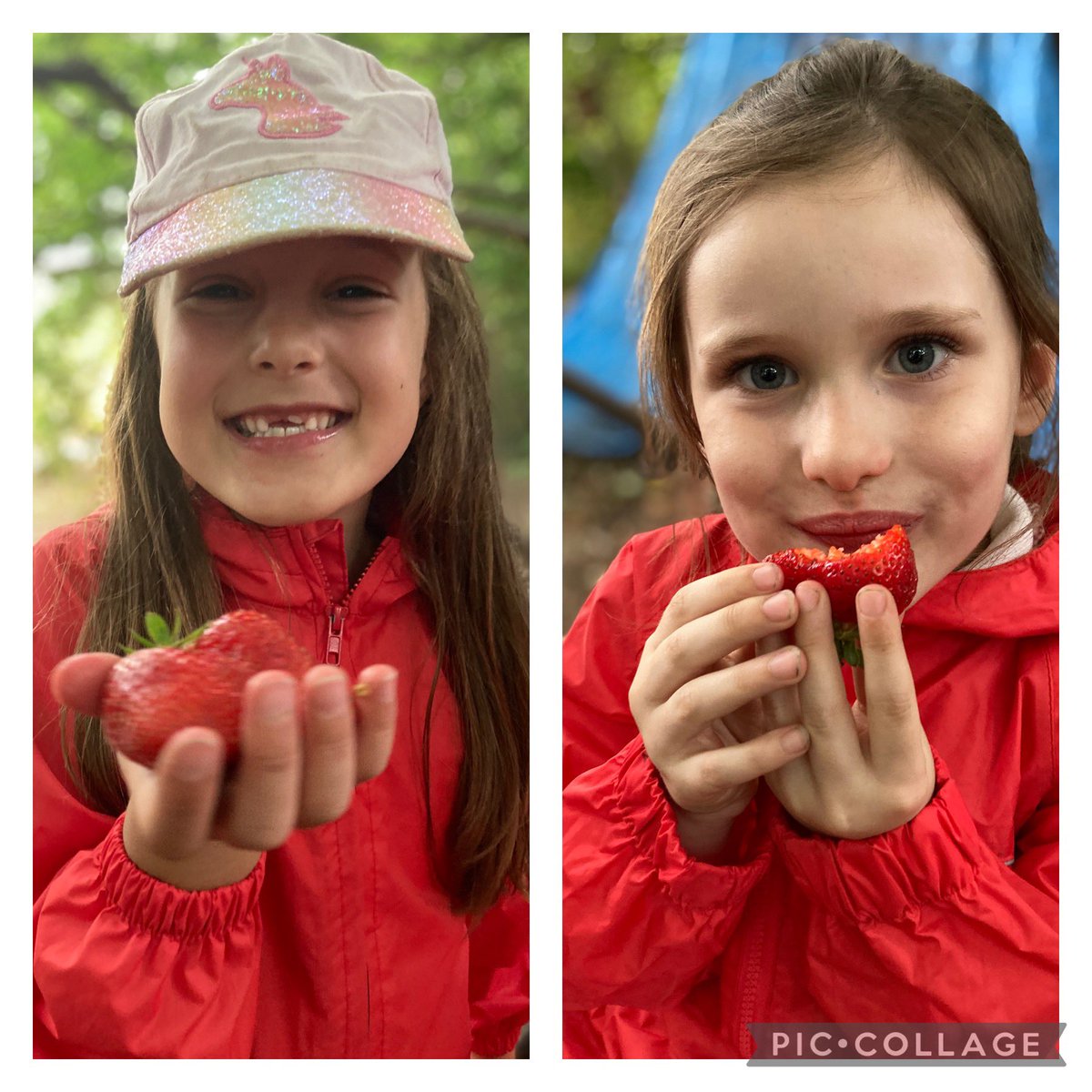 <a href="/HMC_School/">High Meadow Community School</a> Year 1 finishing this years #forestschool experience with a sharing 🍓🍓🍓 picnic! We also said goodbye &amp; thank you to Nerea for supporting us over the last 6 months 💚 happy holidays #outdoors #KindnessinAction