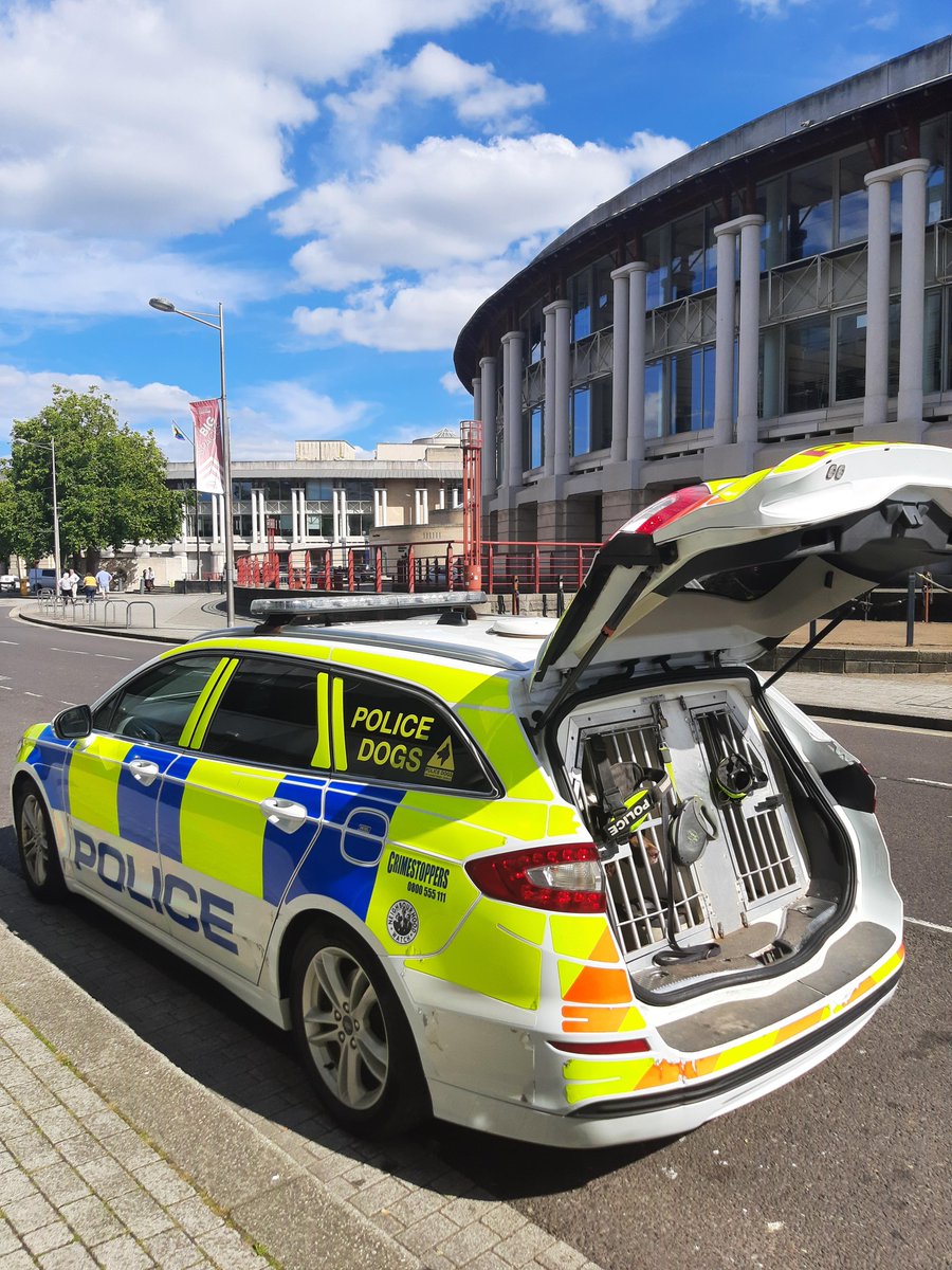 ASPBristol's tweet image. Officers from Bridewell T2 and Dog section came across some prehistoric creatures during their #ProjectServator deployment in Bristol City Centre! To find out more about #ProjectSevator visit ow.ly/yj0750IFeoc
