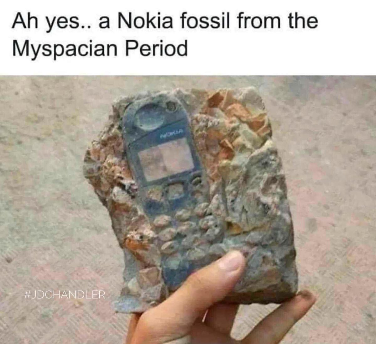 shellface365's tweet image. 