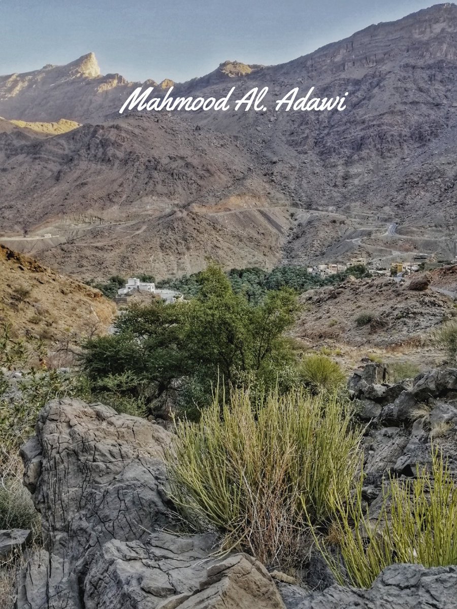 مداد قلما لذاته.. (@mahmmod_aladawi) on Twitter photo 