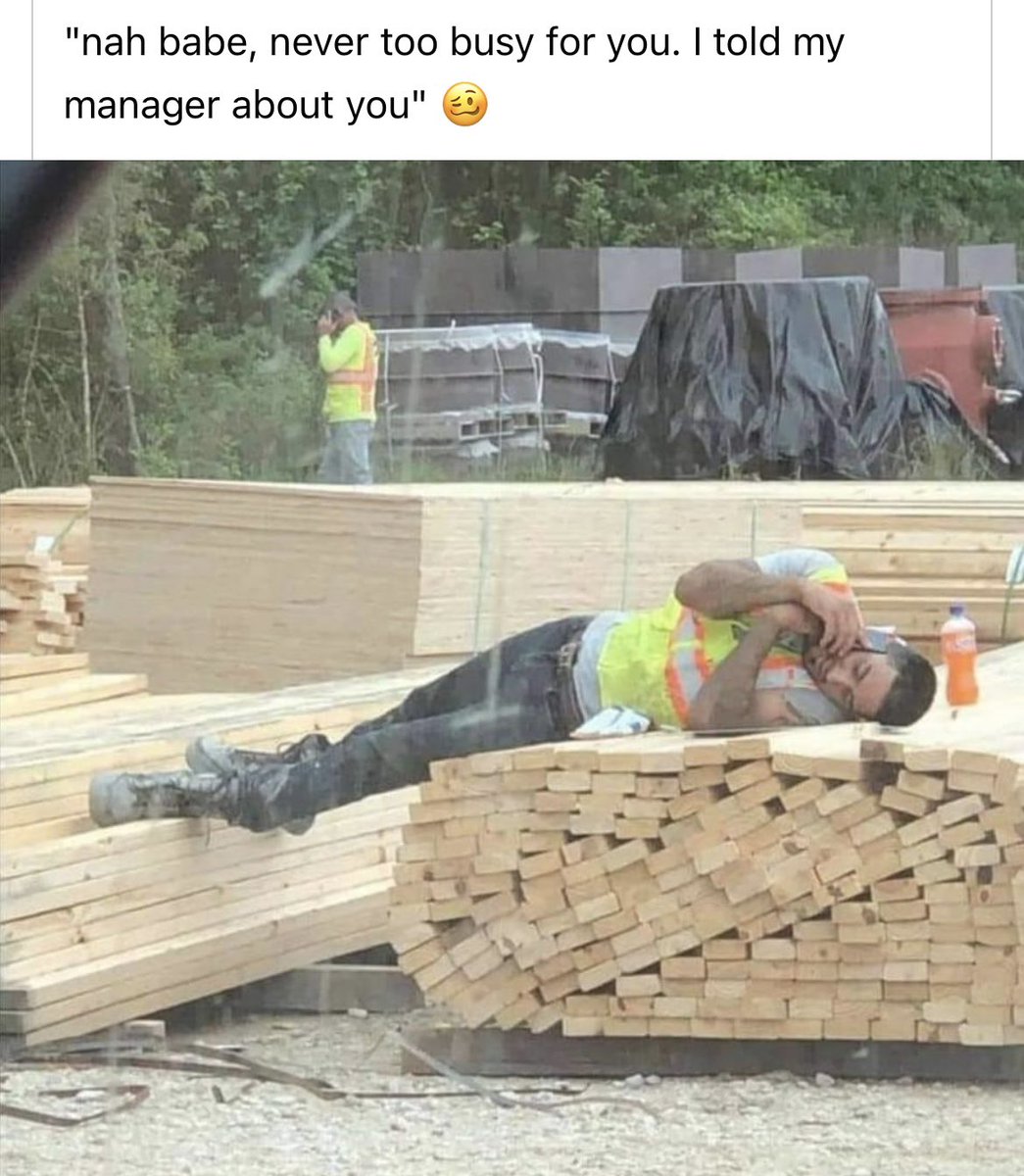 shellface365's tweet image. 