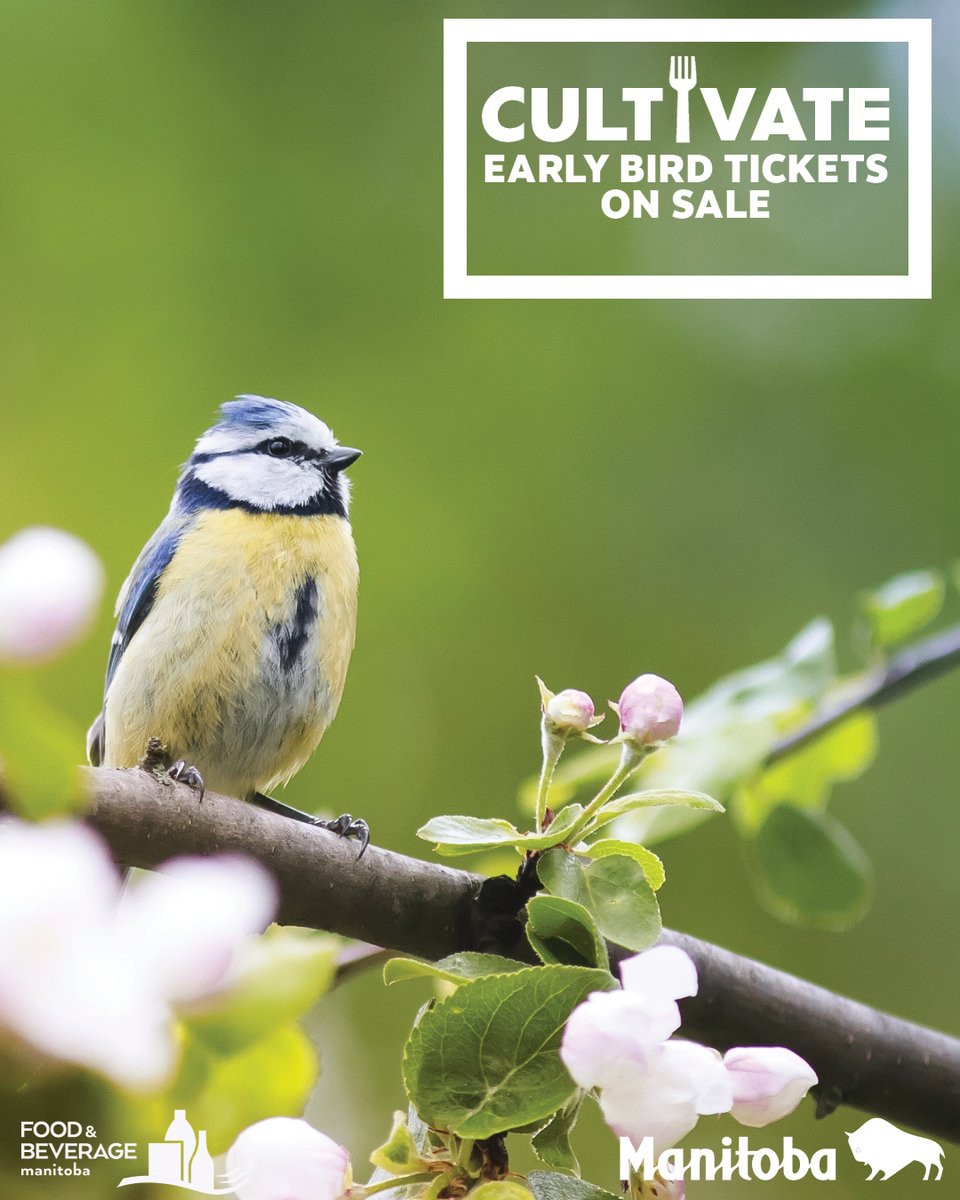 Take advantage now of Early Bird pricing to attend the inaugural CULTIVATE Sustainability Conference and Trade Show. Be a driver for progress and positive change for the future of our planet. Early bird non-members: $103.95, Early bird members: $63.00

ow.ly/fuXs50JWRBc