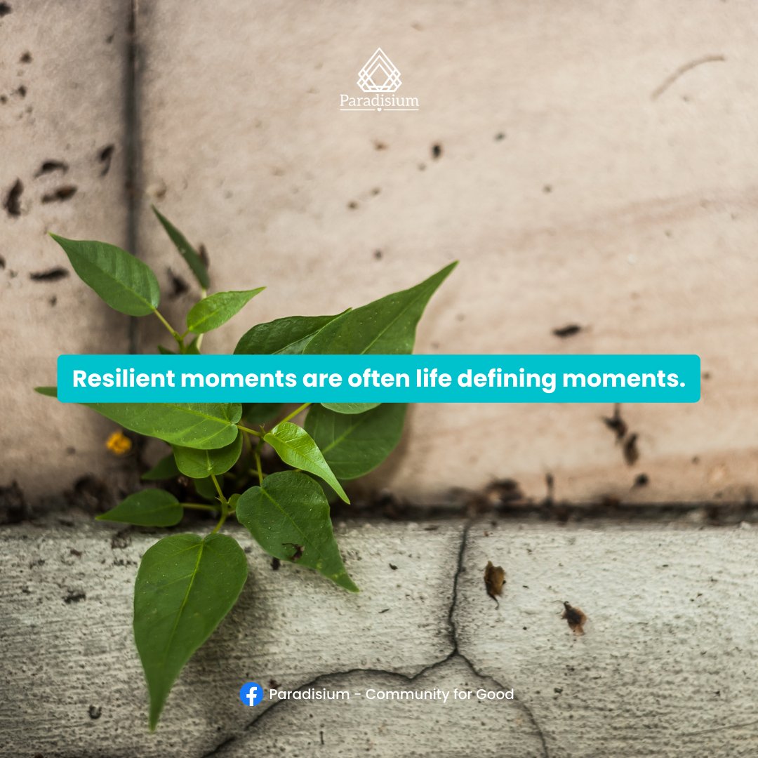 ParadisiumVerse's tweet image. At times I have failed 😟

And yet it seems to me that resilient moments are often life defining moments. ✨

And yet these defining moments likely wouldn’t have happened without the failures that came before them 😊

#paradisium #communityforgood #failure #success #resilient