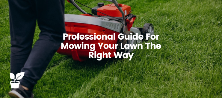 Here’s an excellent guide for mowing your lawn professionally to receive a yard that will look beautiful throughout the year.

Read the article: irrigationsuppliesstore.com/mowing-your-la….

#LawnMower #GrassMower #LawnCare #GrassCare