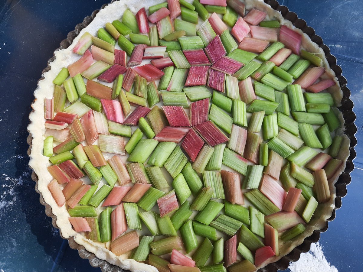 Bonjour, on fait une tarte à la rhubarbe pavage freestyle 🤐 #lovemaths #holidays