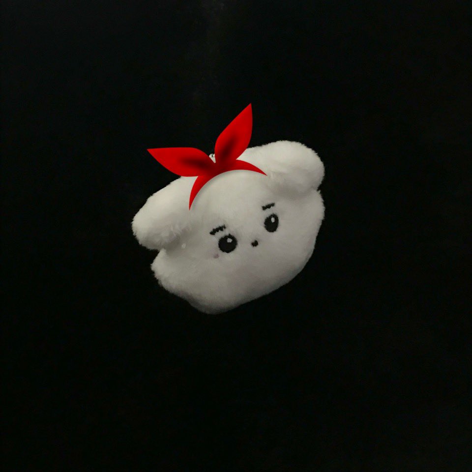 쁘띠툥 ๑•‿•๑