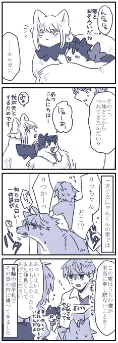 お題箱よりネコチャン漫画&gt; 飼い主プーサーさんにゃんこなモルガンことモルニャンが勝手にぐだにゃんを連れて帰っちゃってちょっとした騒ぎに… #odaibako_hook2_62  ありがとうございました!もるにゃんなら連れ去るくらい不思議な力でちょちょいのちょいやで!と思って… 