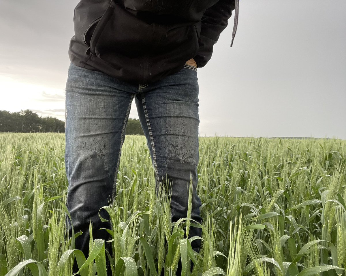 Brooke Moon tweet media